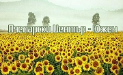Мед Стара Загора