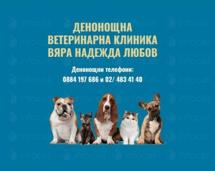 Обезпаразитяване на домашни любимци цени в София-Люлин - Денонощната ветеринарна клиника София Обезпаразитяване на домашни любимци цени в София-Люлин - Денонощната ветеринарна клиника София