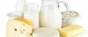 Производство на млечни продукти от прясно краве мляко в Тертер-Кубрат