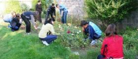Специалност Озеленяване и цветарство
